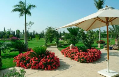 Residential Property Landscape