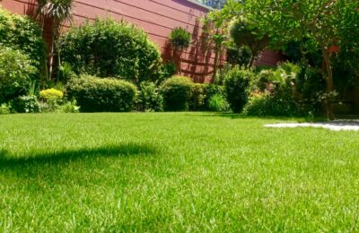 Embassy of Singapore